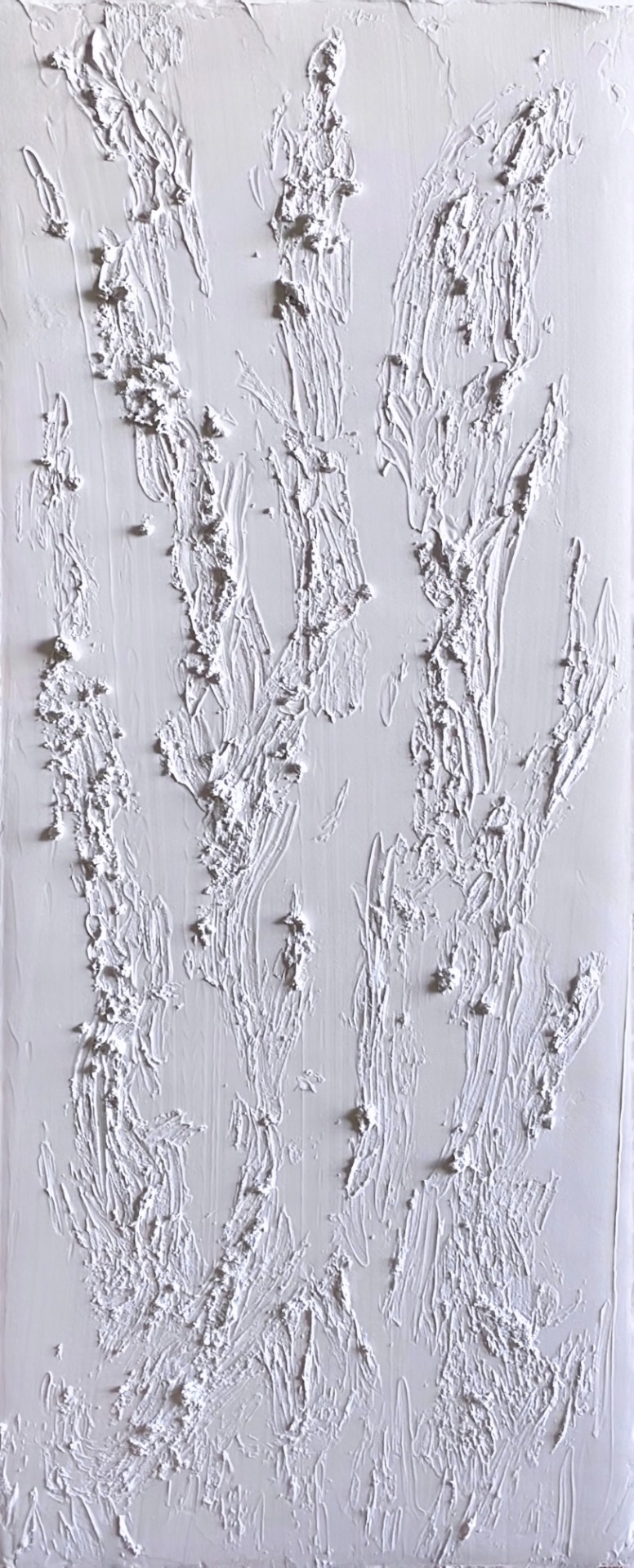 Flores do mar- 100 x 40 - moldura 3D